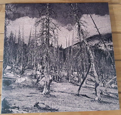 Hate Forest - Sorrow - LP (marble)