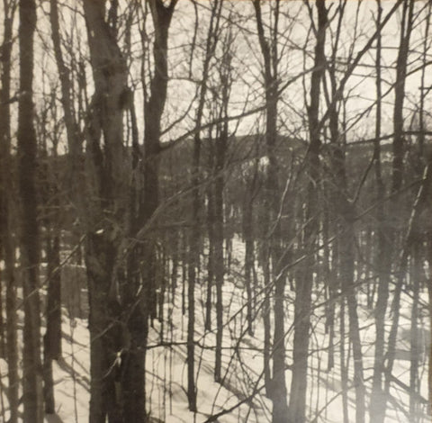 Satanic Warmaster / Akitsa Split EP (clear)