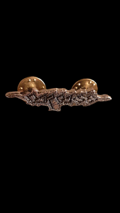 Carcass - Logo - small Metal Pin