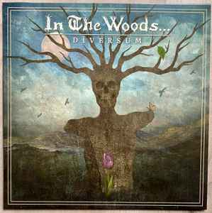 In the Woods ... - Diversum - LP (Sea Blue)